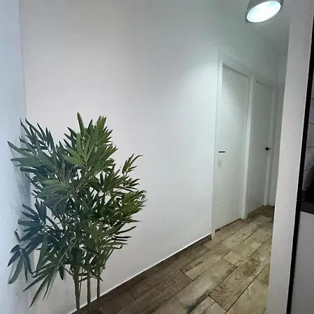 アパート Gongora Con Parking コルドバ